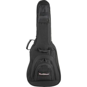 best guitar accessories roadrunner1